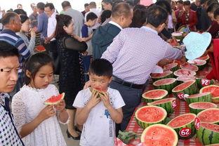 吃瓜内黄视频,一场视觉盛宴背后的故事