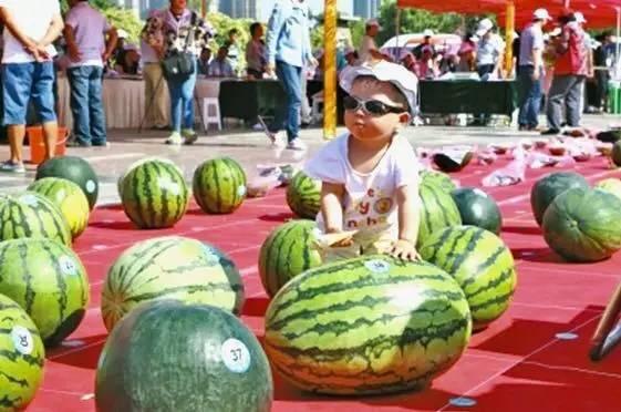 龙泉吃瓜事件真相揭秘视频,揭秘背后真相与争议