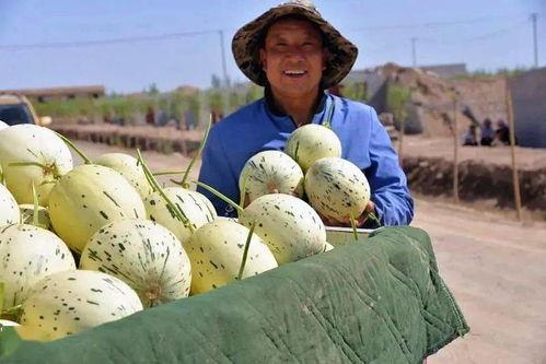 广河县吃瓜事件视频,一场网络热议背后的真相与反思