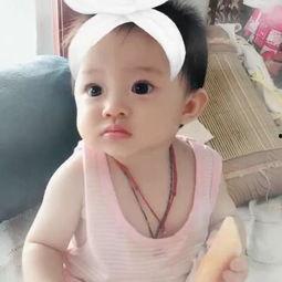 宠物吃哈密瓜视频,宠物们的甜蜜美食之旅