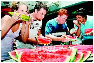 吃瓜比赛视频大全最新,视频大全盘点