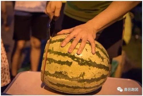 吃瓜比赛视频大全最新,视频大全盘点