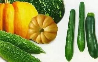 三万元吃瓜视频