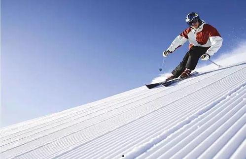 滑雪教练吃瓜视频大全免费观看,免费观看，欢乐无限