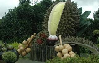 芭提雅吃瓜视频,一场视觉与味蕾的双重盛宴