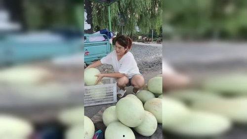 毛瓜怎么吃视频,视频教你轻松解锁多种美味吃法