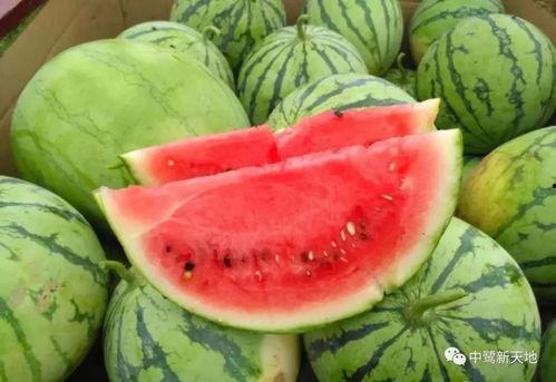 长春今日吃瓜新闻视频,揭秘热门事件背后的真相