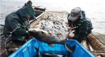 军演吃瓜渔民视频,视频曝光引发网友热议