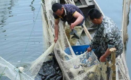 军演吃瓜渔民视频,视频曝光引发网友热议