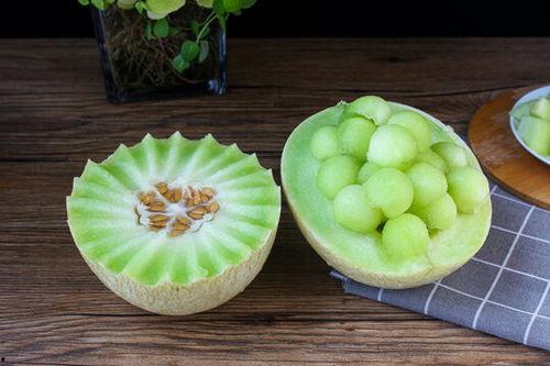 胖木鱼吃蜜瓜视频大全下载,视频大全下载攻略