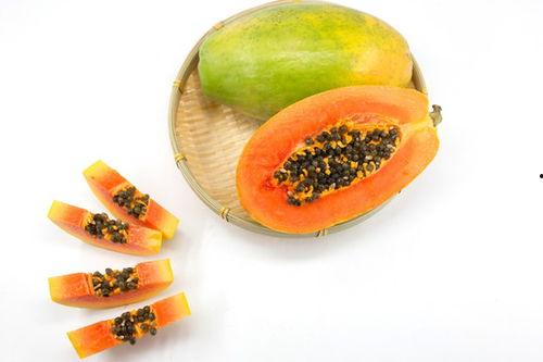 胖木鱼吃蜜瓜视频大全下载,视频大全下载攻略