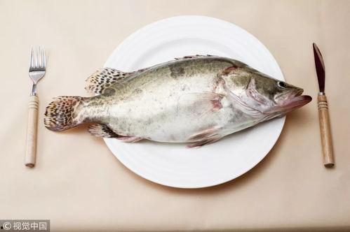 有鱼喜欢吃小瓜怎么办视频,轻松解决鱼儿美食需求