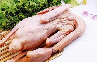 吃瓜鹅组完整视频,揭秘娱乐圈幕后真相