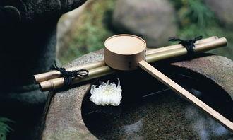 吃瓜工具铲子怎么做的视频,跟随视频教程轻松上手