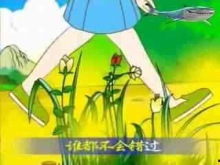 你吃瓜我吃豆故事视频在线观看,豆香四溢乐无边——“我吃瓜你吃豆”趣味视频大揭秘