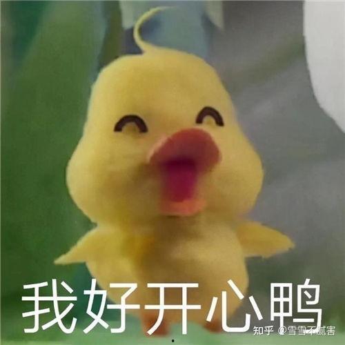 小黄鸭玩吃瓜视频,趣味横生引人捧腹