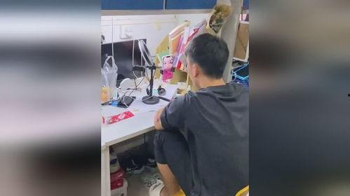 吃瓜加油男孩视频大全,笑料百出，欢乐无限