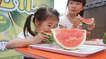 吃瓜加油男孩视频大全,笑料百出，欢乐无限