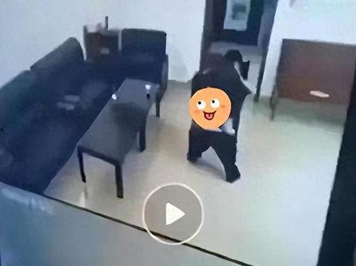 村书记和妇女主任吃瓜视频,村书记与妇女主任吃瓜视频引发热议