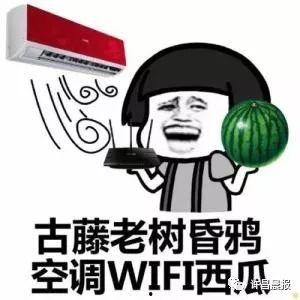 怎么能买吃瓜视频,一键解锁娱乐新姿势
