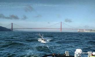 洋流吃瓜事件视频大全,揭秘网络热传视频背后的真相与笑料