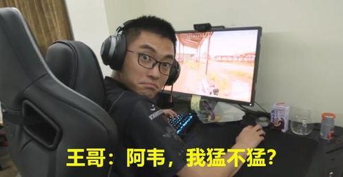 吃瓜爆料找王哥视频,吃瓜爆料视频背后的真相大起底