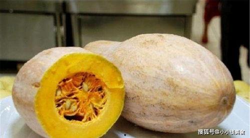 吃鸡视频南瓜冬瓜哈密瓜,欢乐“吃鸡”之旅