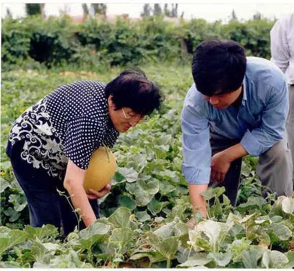 瀚林院吃瓜的视频,揭秘娱乐圈幕后故事