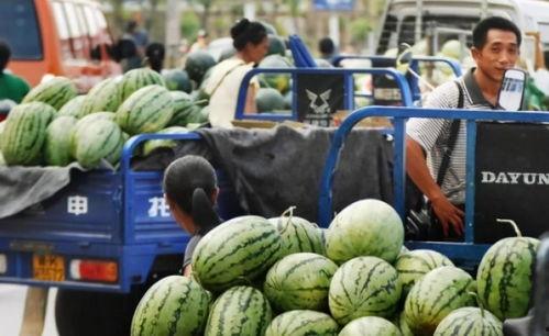 瀚林院吃瓜的视频,揭秘娱乐圈幕后故事