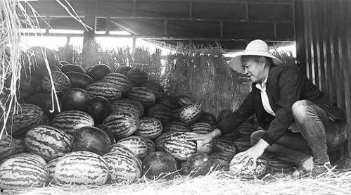 咸阳吃瓜群众事件视频