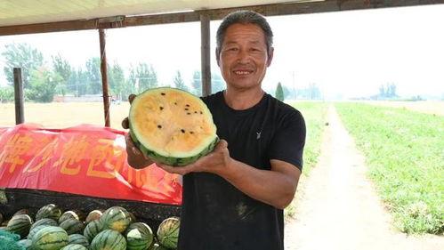 鹿泉最新吃瓜事件视频,视频揭秘惊人真相！