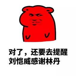 吃瓜群众工作视频,视频记录真实工作瞬间