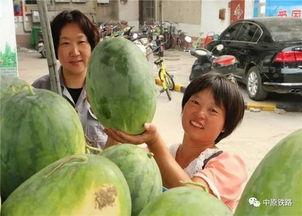 群众盲袋吃瓜视频,群众趣味视频背后的社会现象