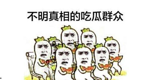 以毒攻毒吃瓜群众视频