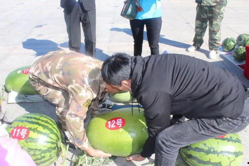 绿衣服吃瓜比赛视频大全,吃瓜大赛视频集锦大盘点