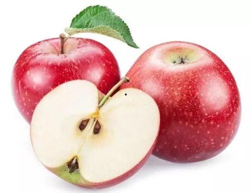 苹果瓜冻坏了可以吃吗视频,还能安全食用吗？揭秘真相