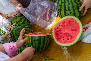 四川人吃瓜视频,吃瓜视频里的麻辣诱惑