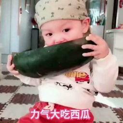 小宝宝吃脆瓜的视频,小宝贝品尝脆瓜美味瞬间