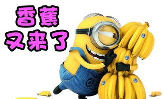 吃瓜大白解说全部视频免费观看,免费畅享精彩视频盛宴