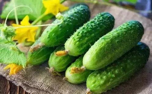 带你吃瓜的第一条视频,趣味内容背后的故事