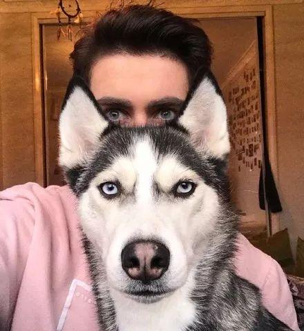 二哈搞笑视频带你吃瓜,带你笑出“吃瓜”境界