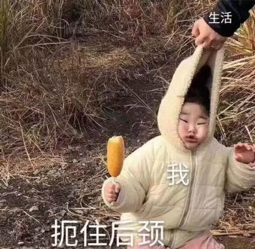 带你吃瓜沙雕小妹视频,带你领略“带你吃瓜沙雕小妹”视频的欢乐瞬间