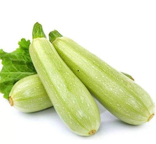 茭瓜不适合哪种人吃呢视频,哪些人群不宜食用