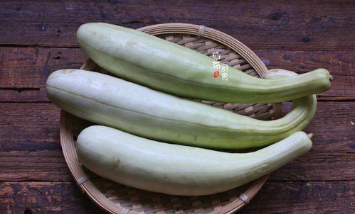 美国邻居吃瓜视频大全,吃瓜视频大全精彩瞬间