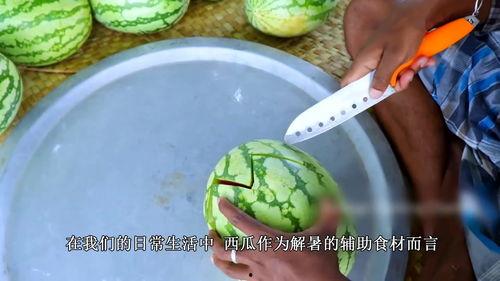 西瓜视频农村小伙吃瓜,体验田园生活乐趣
