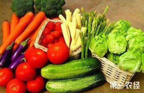 扶手瓜怎样吃美食视频,创意烹饪视频教你轻松享美味