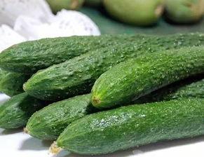 粉线瓜怎么吃最好吃视频,视频教你最佳食用方法