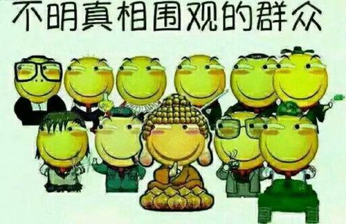 吃瓜群众饲养员视频,趣味视频背后的温馨故事