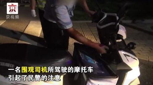 吃瓜群众饲养员视频,趣味视频背后的温馨故事