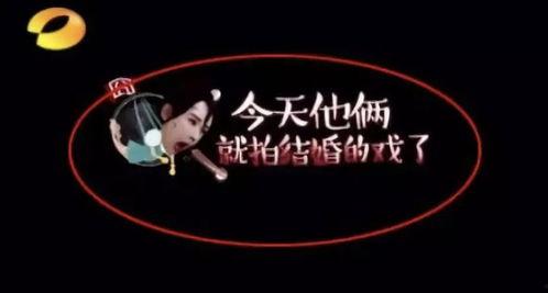 婚礼吃瓜视频合集文案,婚礼吃瓜大集合！